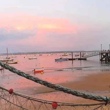 Charmante Avec Jardin Clos, A 100m Du Bassin D'arcachon, Proche Plages Et Commerces, Wi-fi - Fr-1-736-47 * Lege-Cap-Ferret
