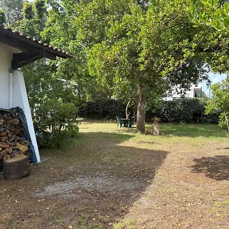 Charmante Avec Jardin Clos, à 100m Du Bassin D'arcachon, Proche Plages Et Commerces, Wi-fi - Fr-1-736-47 Lège-Cap-Ferret
